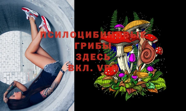 MESCALINE Арсеньев